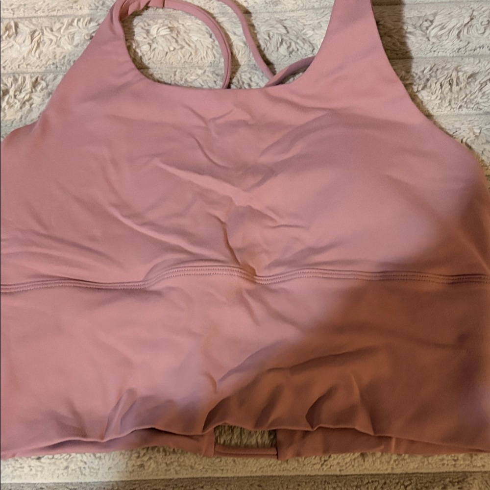 Blush Pink Sports Bra